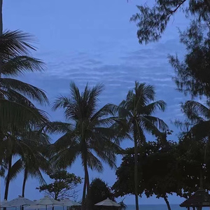 男男攻受无遮删视频网站
